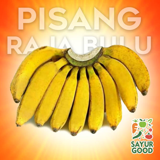 Pisang Raja Bulu / Pisang Raja / Buah Pisang Raja Bulu Segar / 1 Sisir