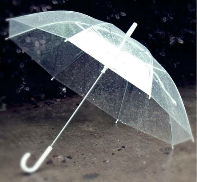 Payung Transparan - Payung Jepang