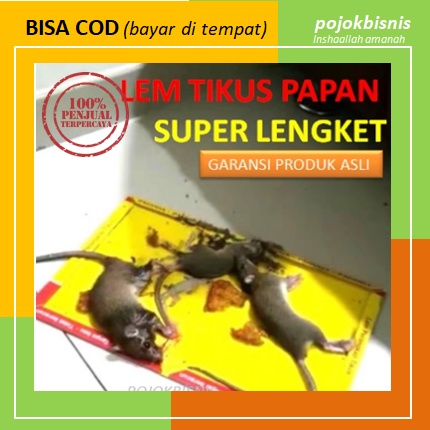 LEM TIKUS PAPAN PAGODA / JEBAKAN TIKUS / PERANGKAP TIKUS / BUKU PAPAN LEM TIKUS