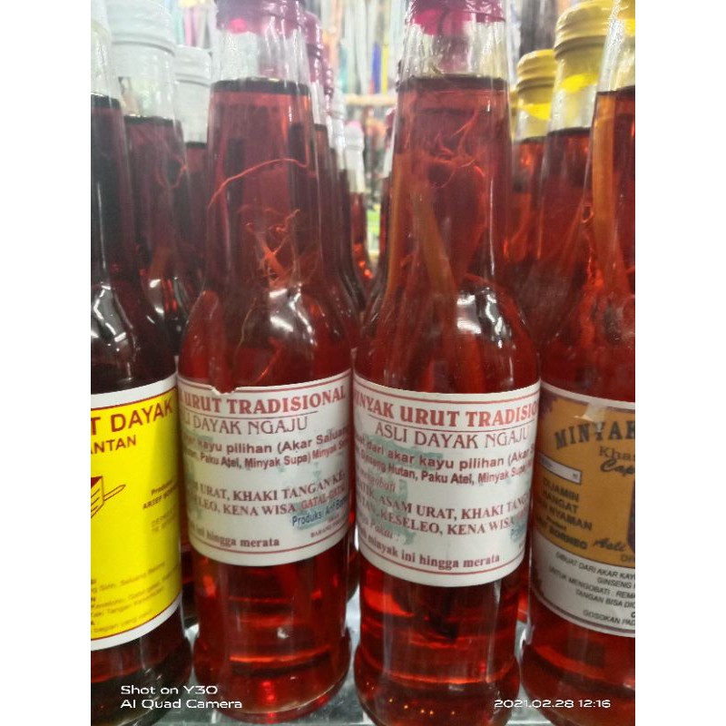 Minyak urut dayak minyak patah tulang minyak sakit pinggang