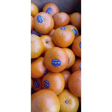 

jeruk wokam /jeruk mandarin 500g