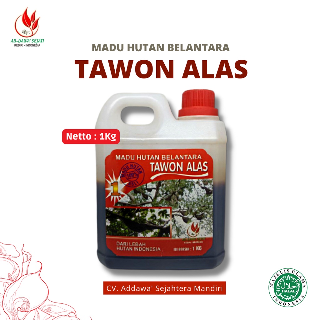

Madu Hutan Asli |Madu Hutan Belantara |Madu Tawon Alas 100% Murni