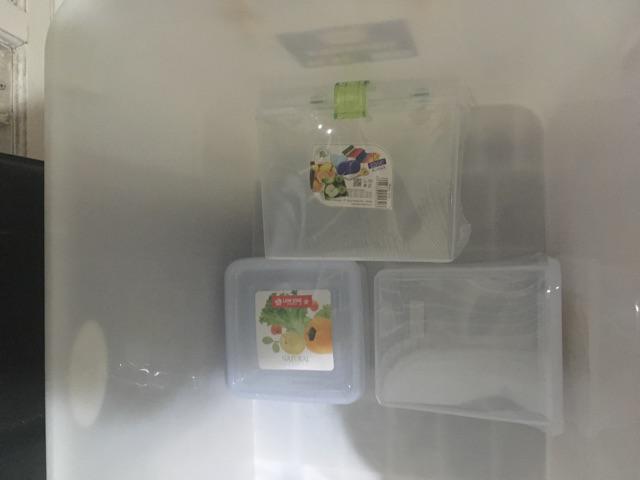 Sealware Segi Natural B47 Pt3 Lion Star