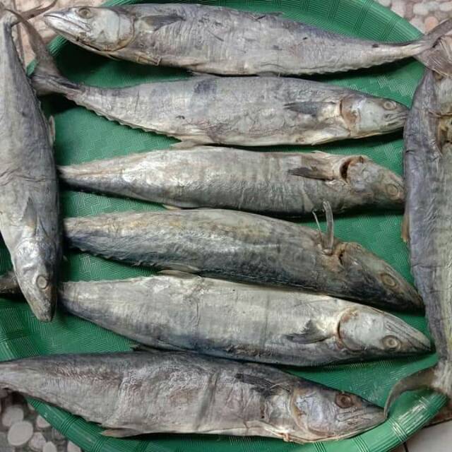 Ikan asin tenggiri/BK Asli Bagan Asahan