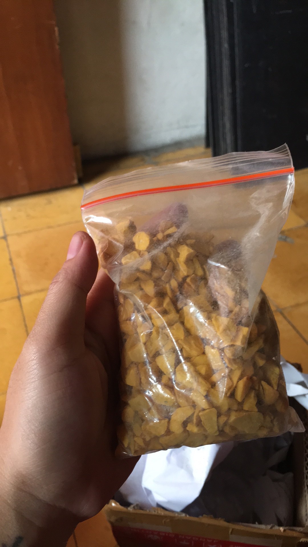 Batu Hias Kaktus Sukulen 300gr Variasi Baru