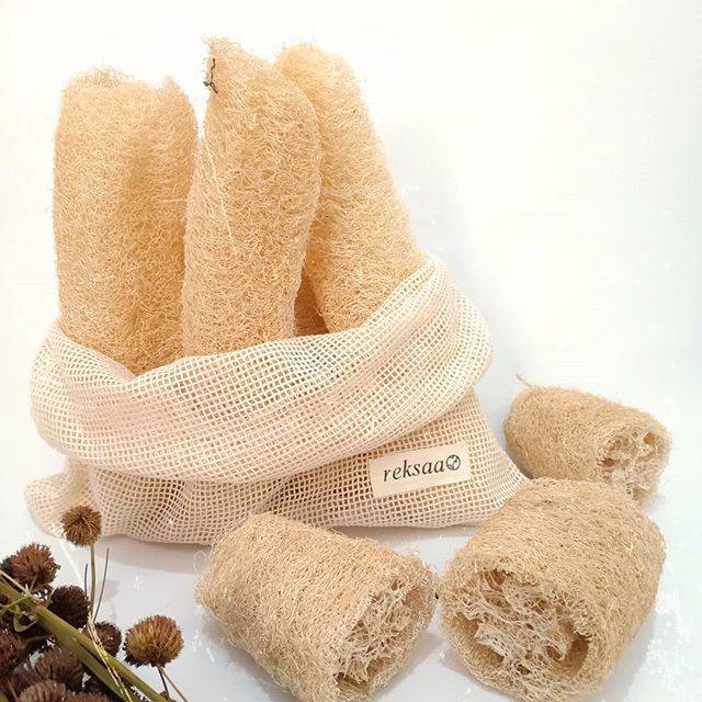 Loofaah Spoonge / Gambas / Oyong / Sikat cuci piring / Sikat mandi