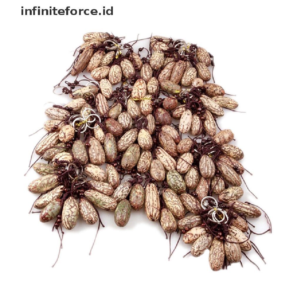 1pc Manik-Manik Bodhi Bentuk Buah Bahan Plastik Ukuran 6cm