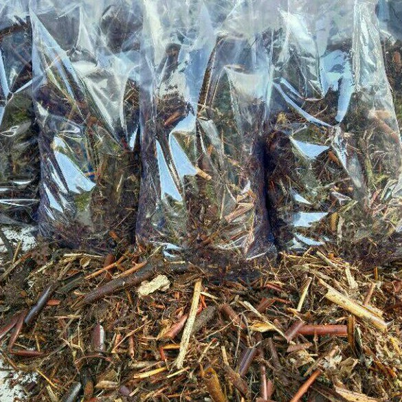 Media Tanam Andam 500 gram - media tanaman hias andam