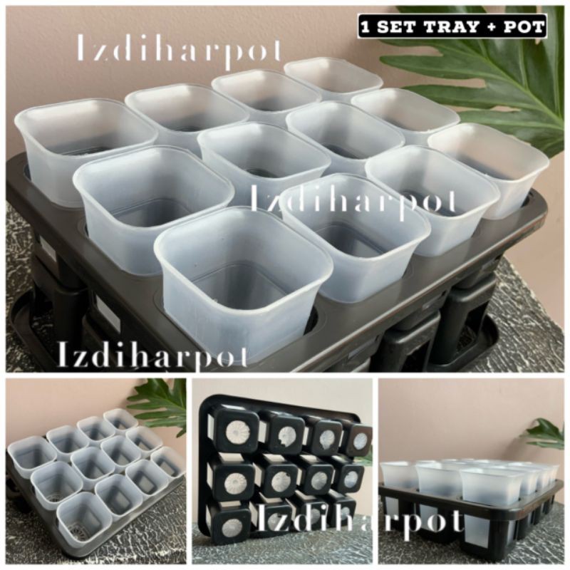 1 set Tray + pot nkt kotak 5cm BENING TRANSPARAN | tray semai bibit