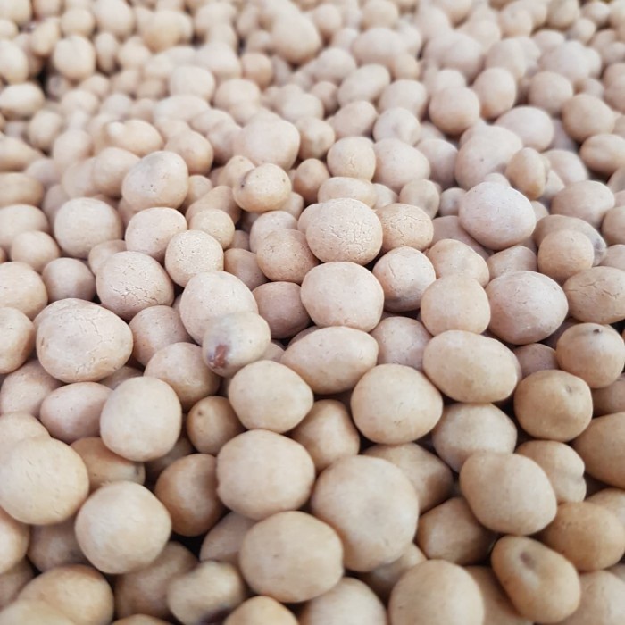 

500gr Kacang Telur Satelit Palapa