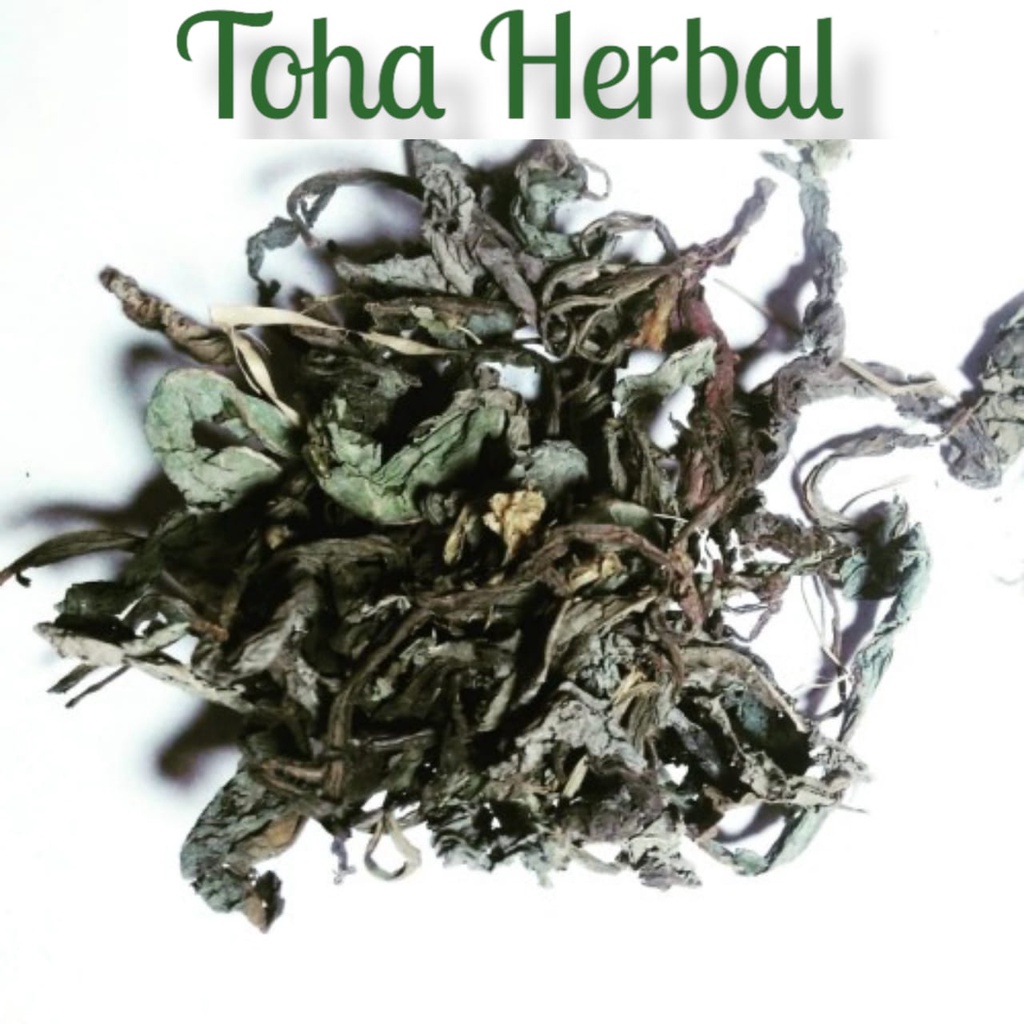 

Daun tempuyung kering 500 gram daun rempuyung kering