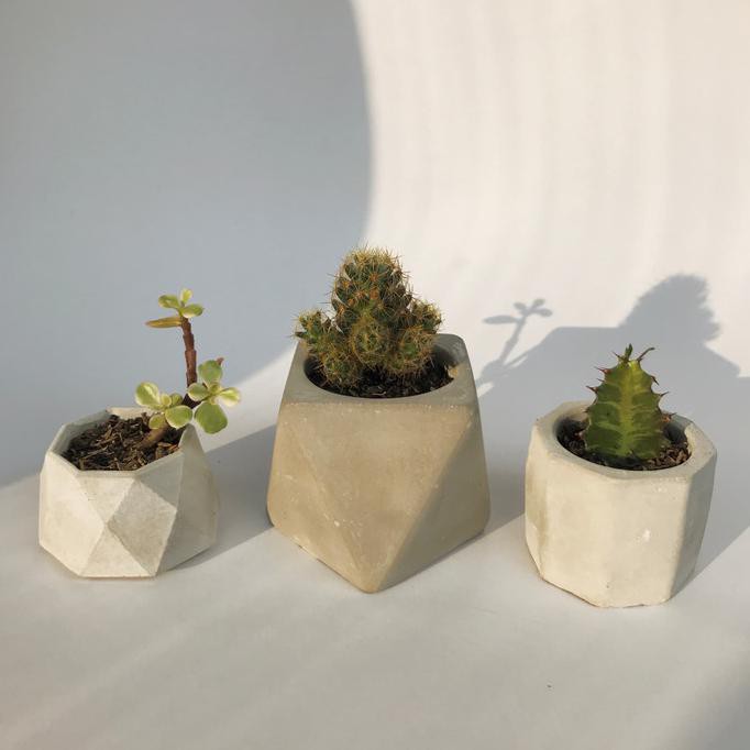 Pot Semen / Pot Kaktus / Socorro Set