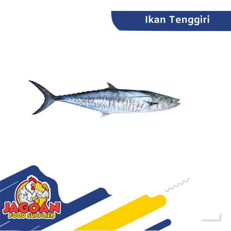 Ikan Tenggiri Per Kg / Ikan Segar