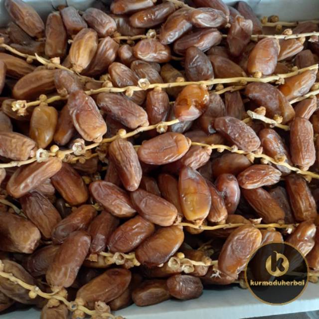 

kurma tunis tangkai tunisia deglet nour
