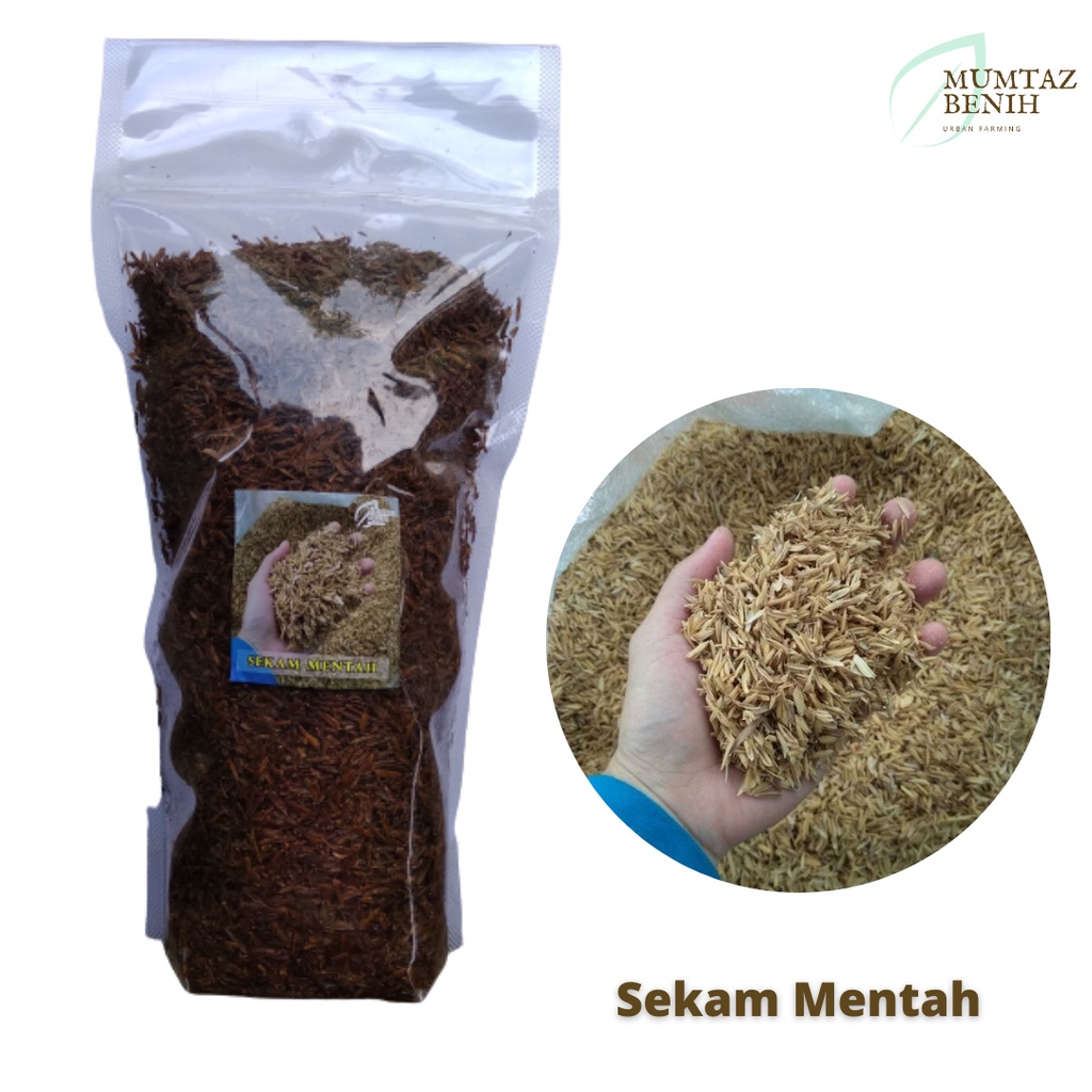 Sekam Mentah Fermentasi (Mumtaz)