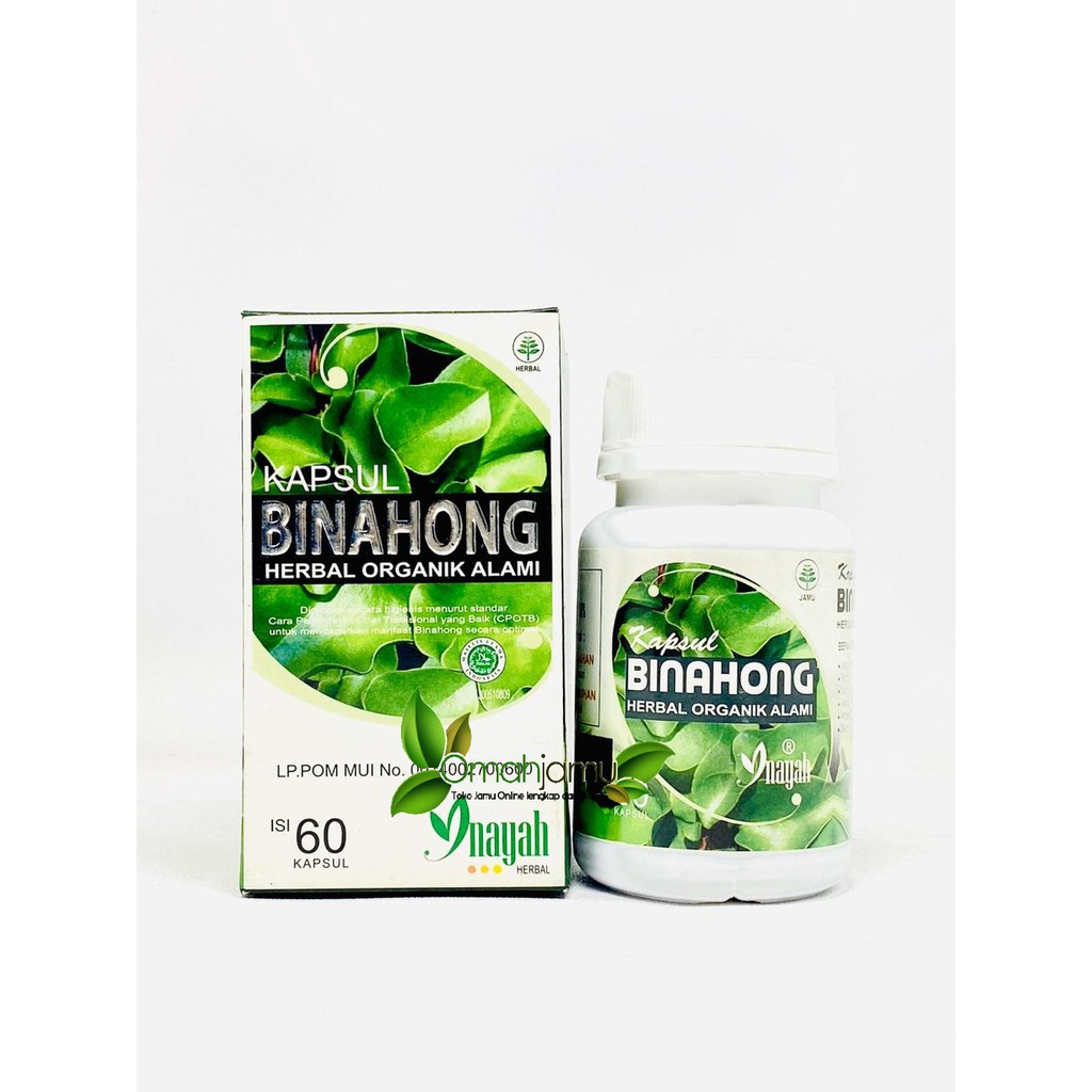 BINAHONG KAPSUL INAYAH. Kapsul Esktrak Binahong