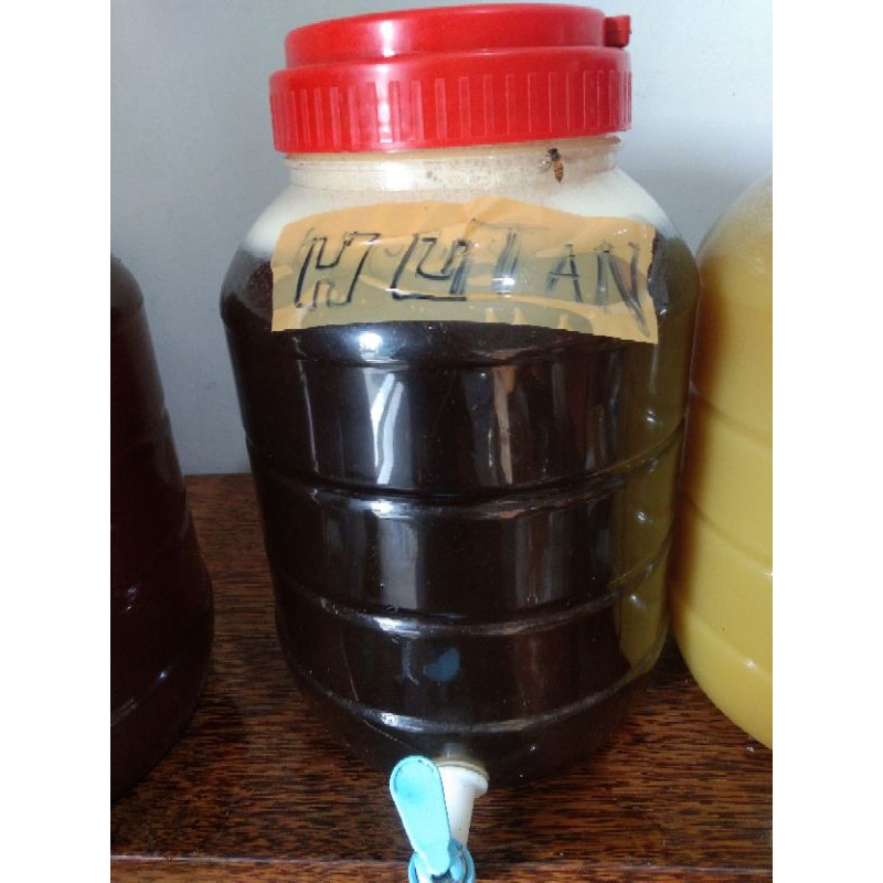 

Madu Hutan 1kg - Madu Liar 100% - Murni Asli tanpa Campuran