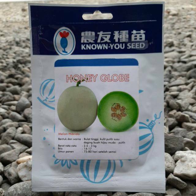 benih buah melon madu HONEY GLOBE isi(100btr)Known You Seed