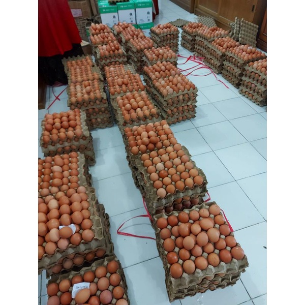 

telur