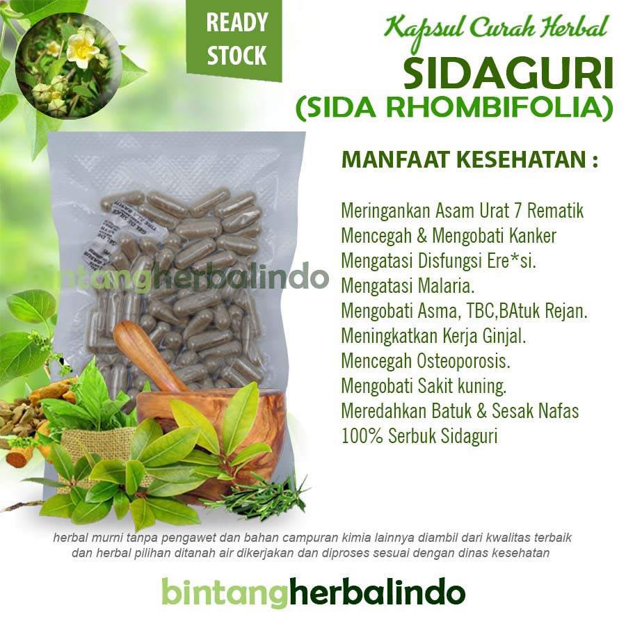 

SIDAGURI 100 Kapsul Herbal Lemah Syahwat Eksim Asma Anti Radang Ginjal