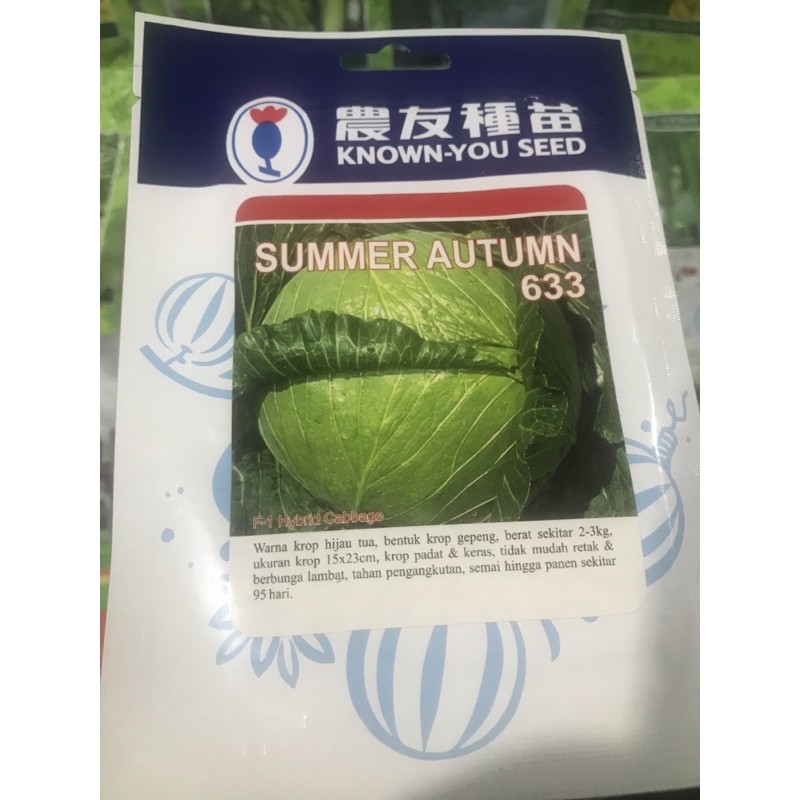 Benih Kubis Summer Autum (Kemasan Pabrik)