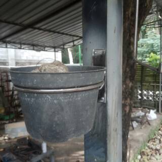 Rak pot  tanaman hias minimalis CAT  OVEN pot  dinding 