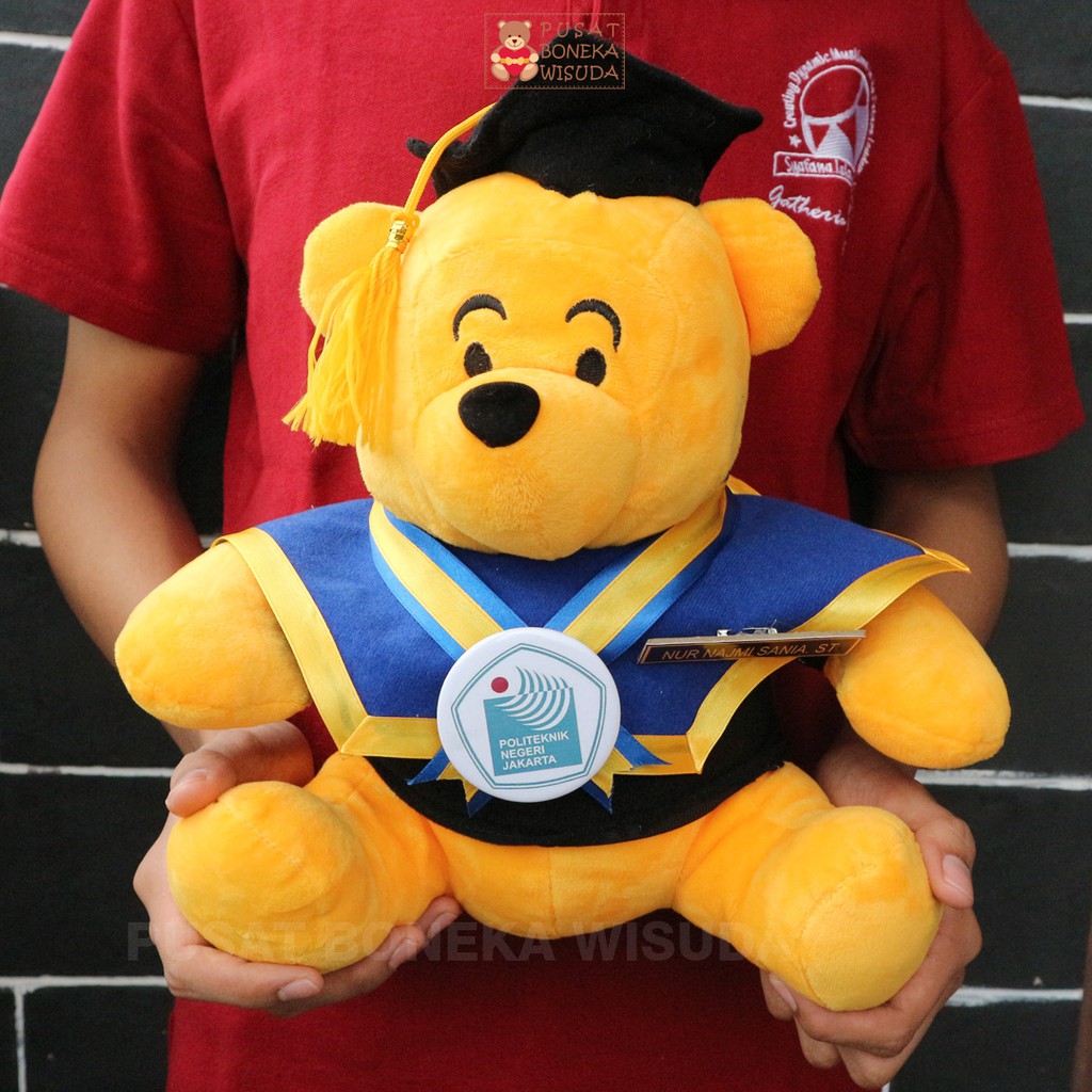 Boneka Wisuda Winnie the Pooh Orange Kado Hadiah Skripsi Graduation Kelulusan Kampus Jakarta Depok