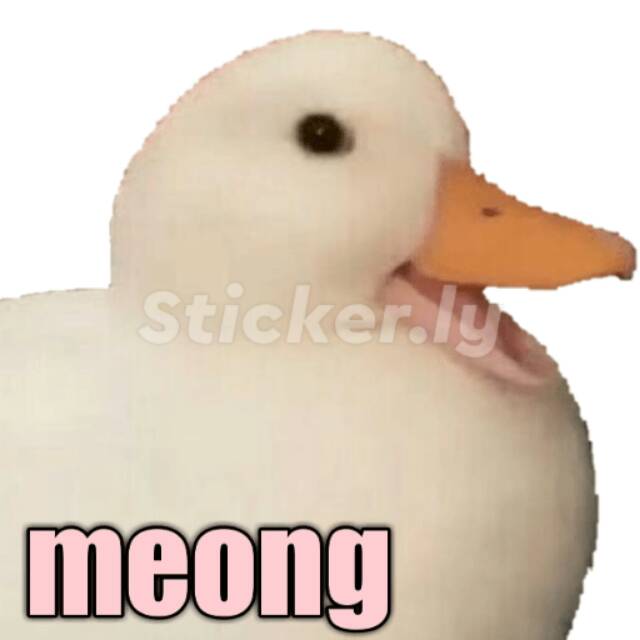 miraardilatasikmalaya