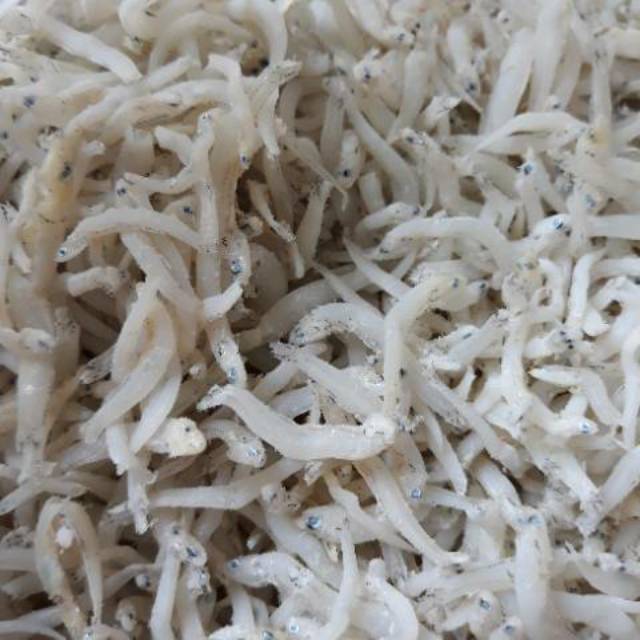 

Ikan teri Medan
