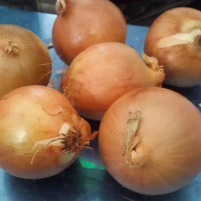 

Bawang Bombay 1 Kg Murah Banget (Seasoning By Dapur Mamiya)