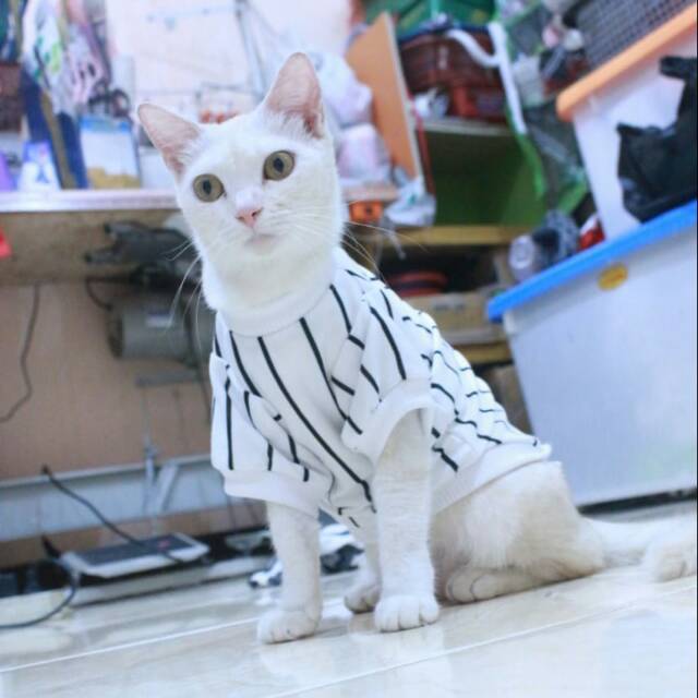 Kaos strip putih hitam lengan panjang untuk kucing dan anjing / baju kucing murah size S M L XL