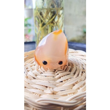 

hedgie