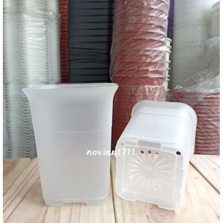 Pot tanaman kotak nkt 12 bening transparan