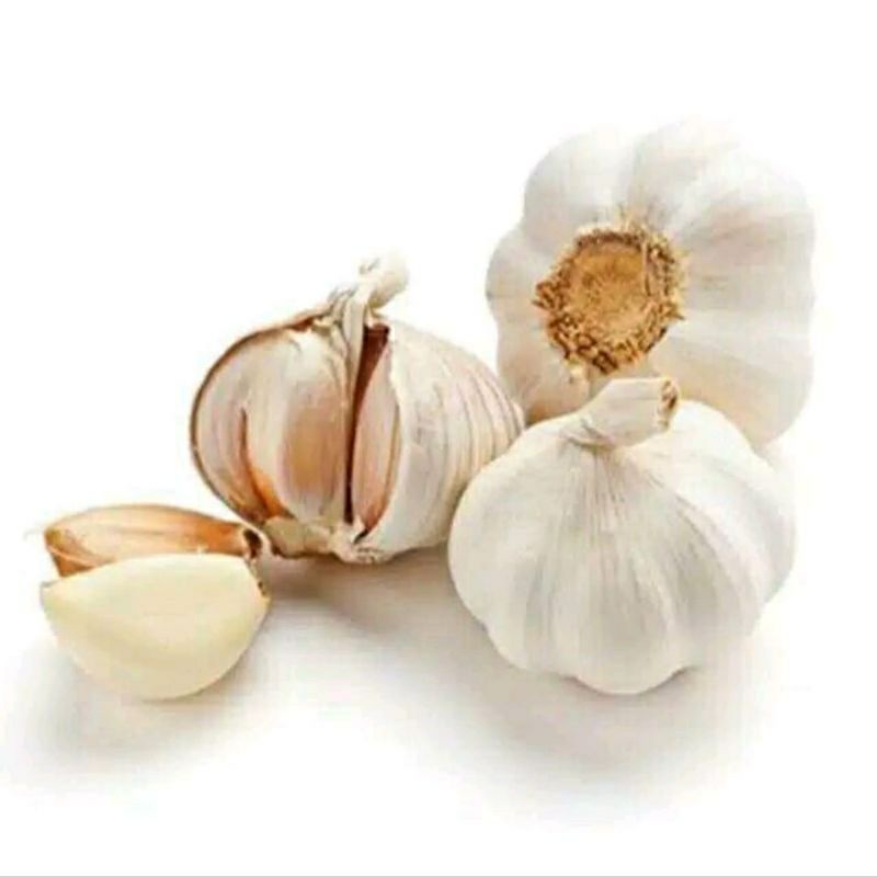 

Termurah Bawang Putih