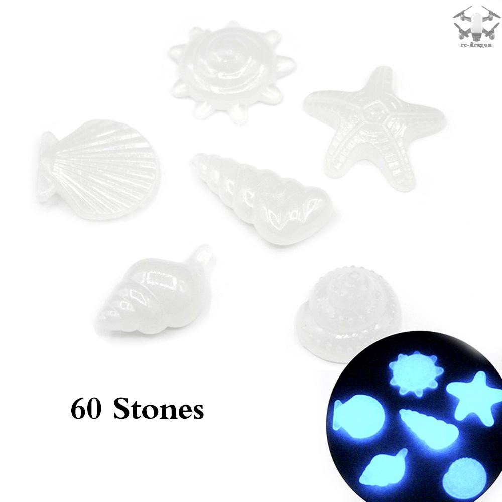 60pcs Kantong Batu Kerikil Kerang Bintang Laut Luminous Glow In The Dark Untuk Dekorasi Akuarium Ikan Shopee Indonesia