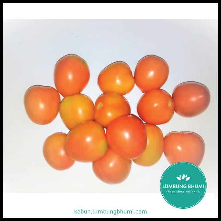 

DISKON TOMAT TW ( SAYUR - SAYURAN CURAH ) !!