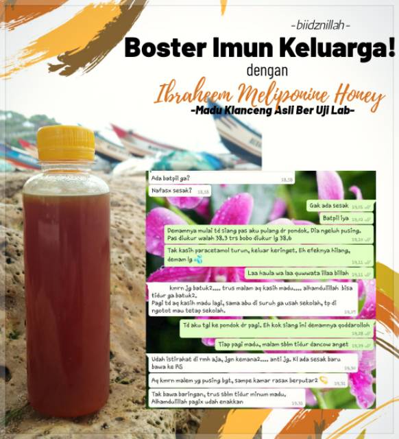 Madu klanceng/madu trigona 100% murni