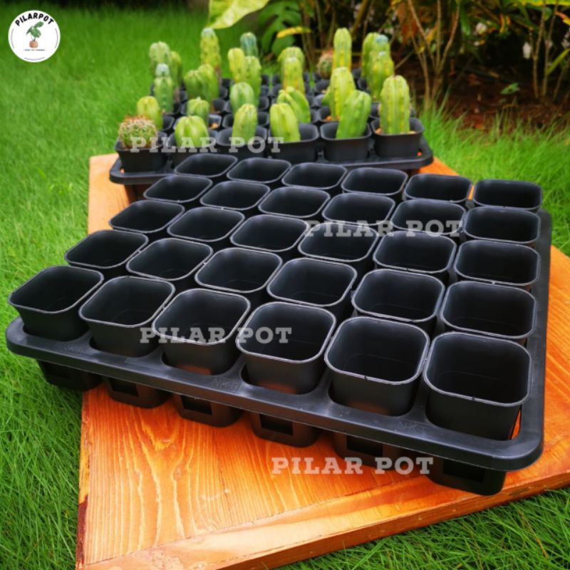 1 SET TRAY LUBANG 30 + POT NKT KOTAK 5CM HITAM 30 PCS | TRAY SEMAI BIBIT