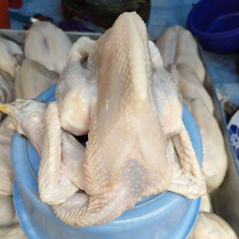 

Ayam Kalasan