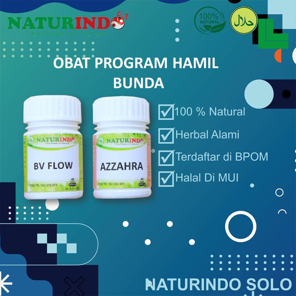 obat hamil herbal program untuk bunda / obat kesuburan  naturindo untuk wanita / obat program hamil 