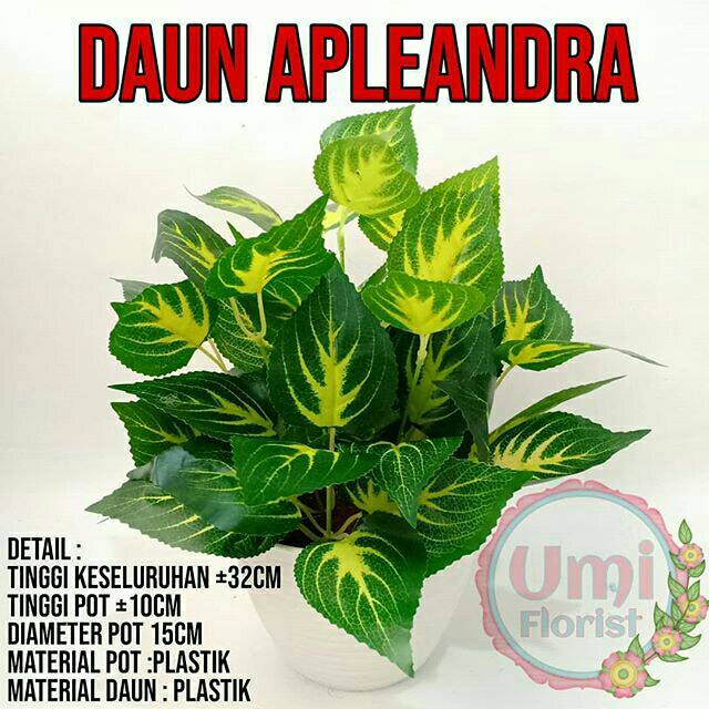 Daun apleandra artificial / daun artificial