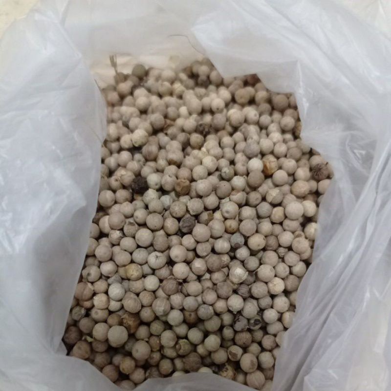 

Bumbu Dapur Sahang Lada 10 gram