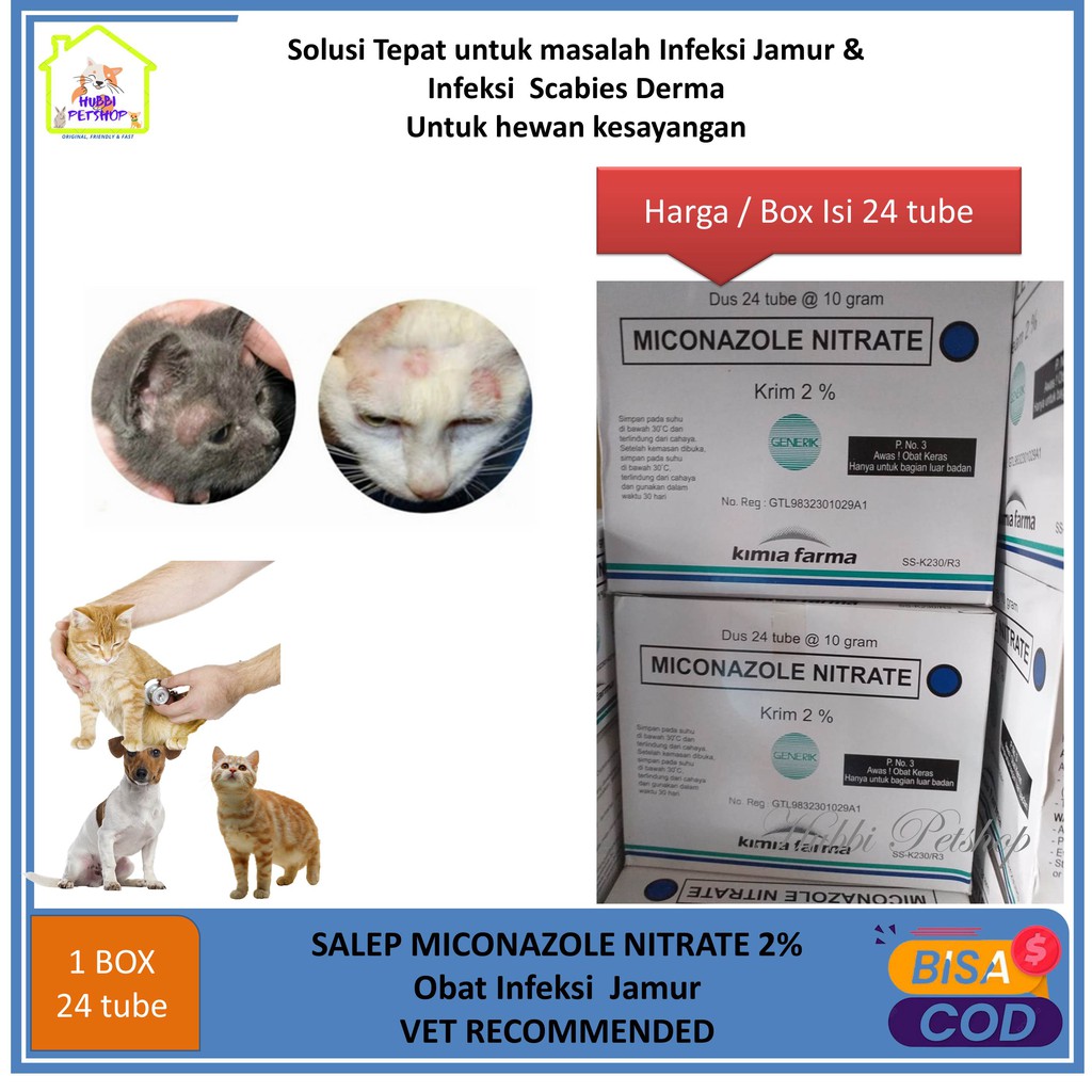 Salep Obat Gatal Salep Jamur Miconazole Box Isi 24 tube