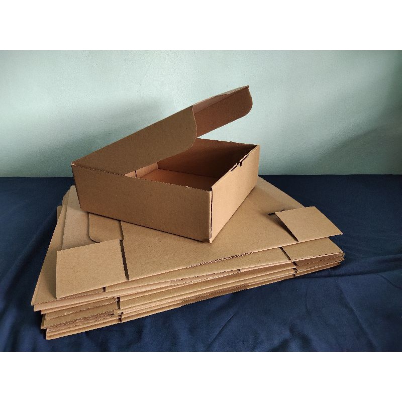 

1 lusin Box Dus Packing Hampers Diecut 30 x 30 x 10 (12 pcs)