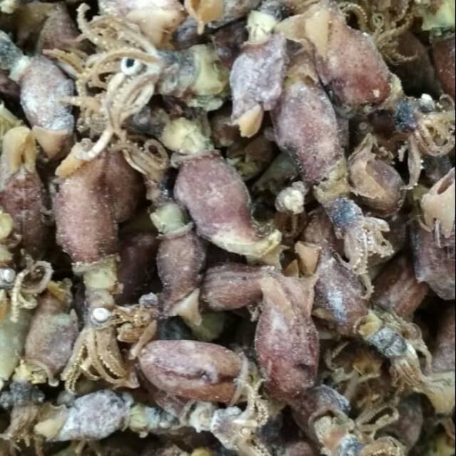 

Cumi sibolga size 3 - 4 cm