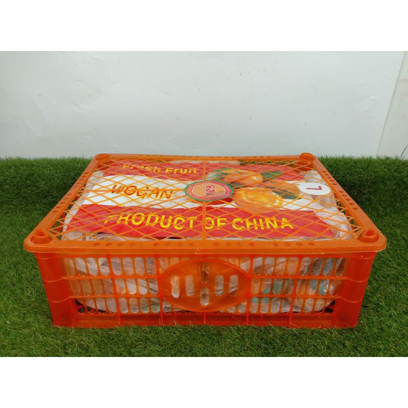 

jeruk wogan daun super import 6.5 kg | dus