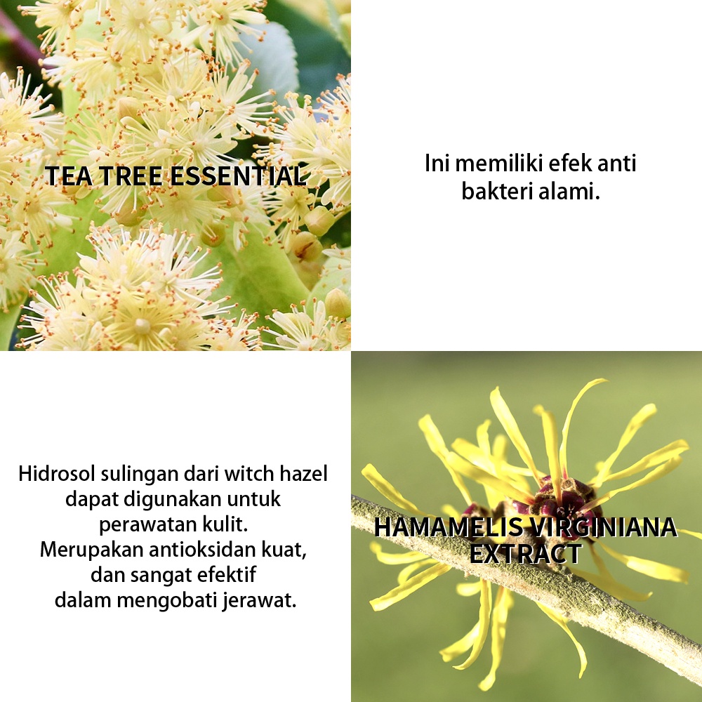 Toner Wajah BREYLEE Tea Tree Acne Facial Toner Melembabkan dan Menyegarkan Wajah