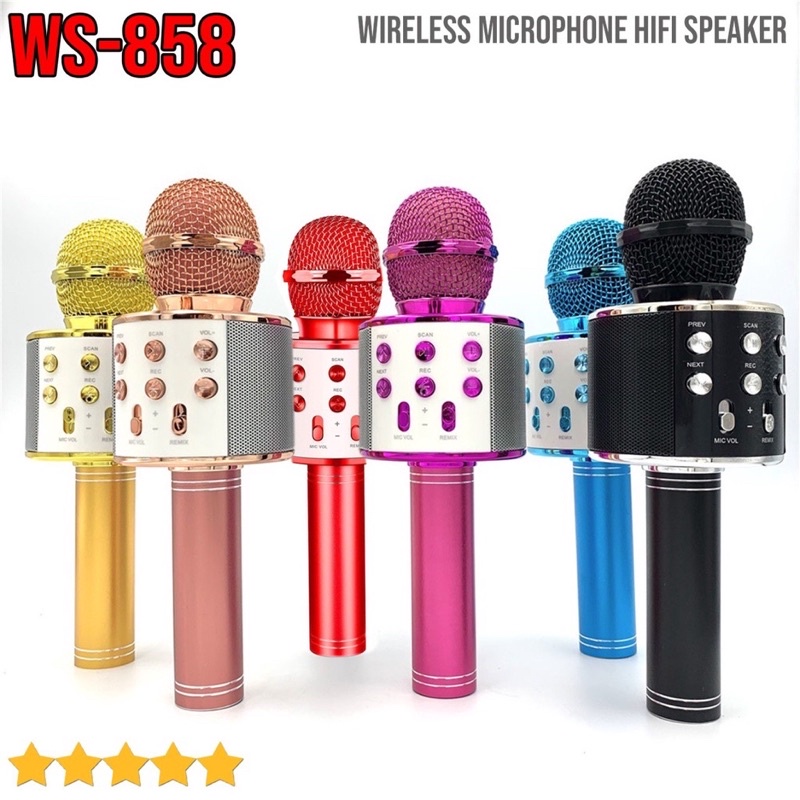 Mic Bluetooth Karaoke / Smule Wireless Karaoke Portable WS858