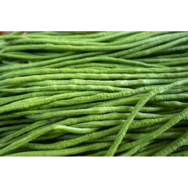 

kacang panjang/ikat