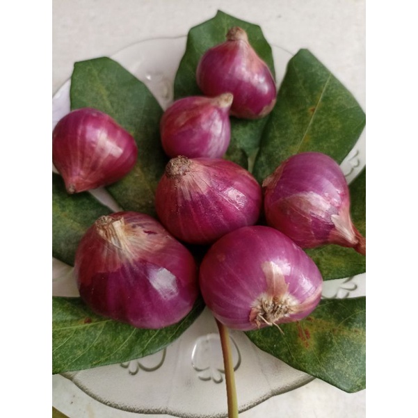 

bawang merah brebes besar 1kg